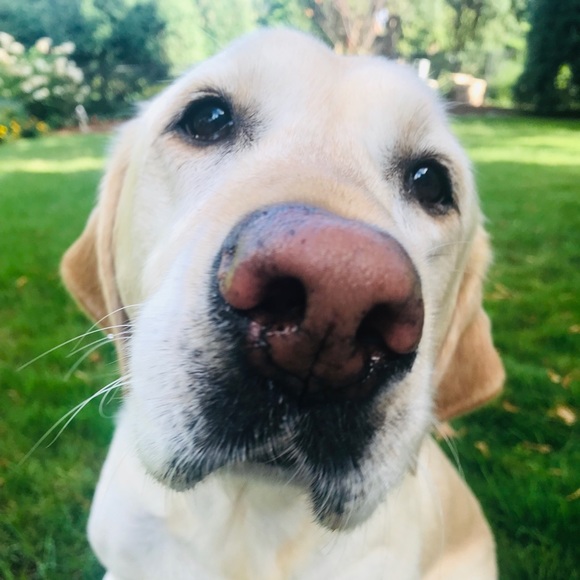 Meet your Posher, Jaclyn - Picture 4 of 7